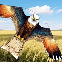 BIRDGUARD – Ørn Skræmme Drage