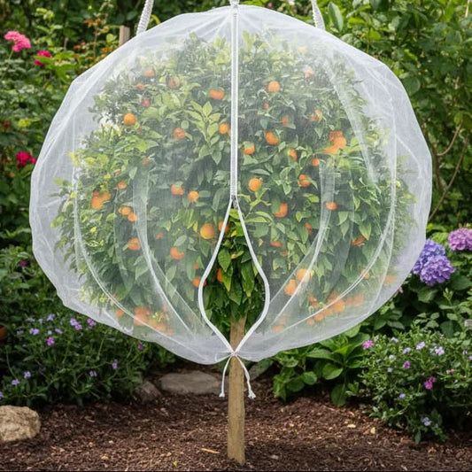 HARVESTNET - Drawstring mesh bags for breathable fruit tree protection