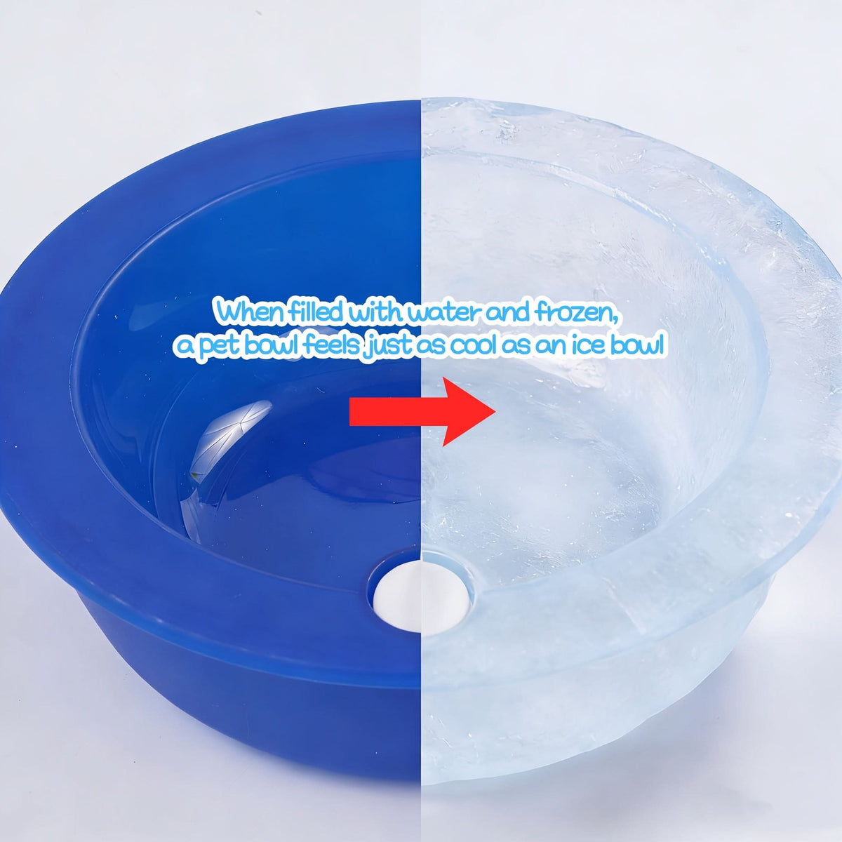 PETGLACIER – Refreshing Cooling Bowl for Everyday Pet Hydra