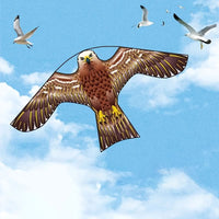 BIRDGUARD – Ørn Skræmme Drage