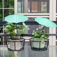 PLANTGUARD – Ombreggiatura solare per piante da esterno