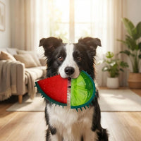 FROSTPAW – Frozen Puzzle Dog Toys
