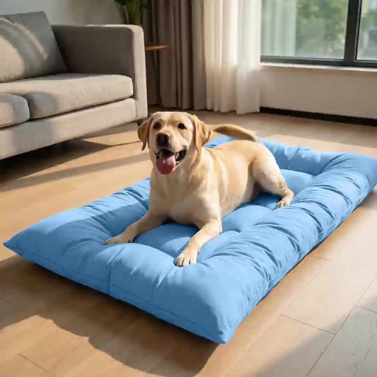 COZYPAWS – Panier rafraîchissant pour animaux sur canapé