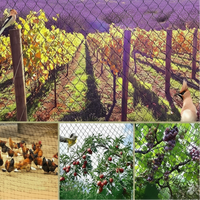 AURALIVA – Durable Garden Netting for Plant & Orchard Safety