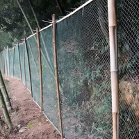 AURALIVA – Durable Garden Netting for Plant & Orchard Safety