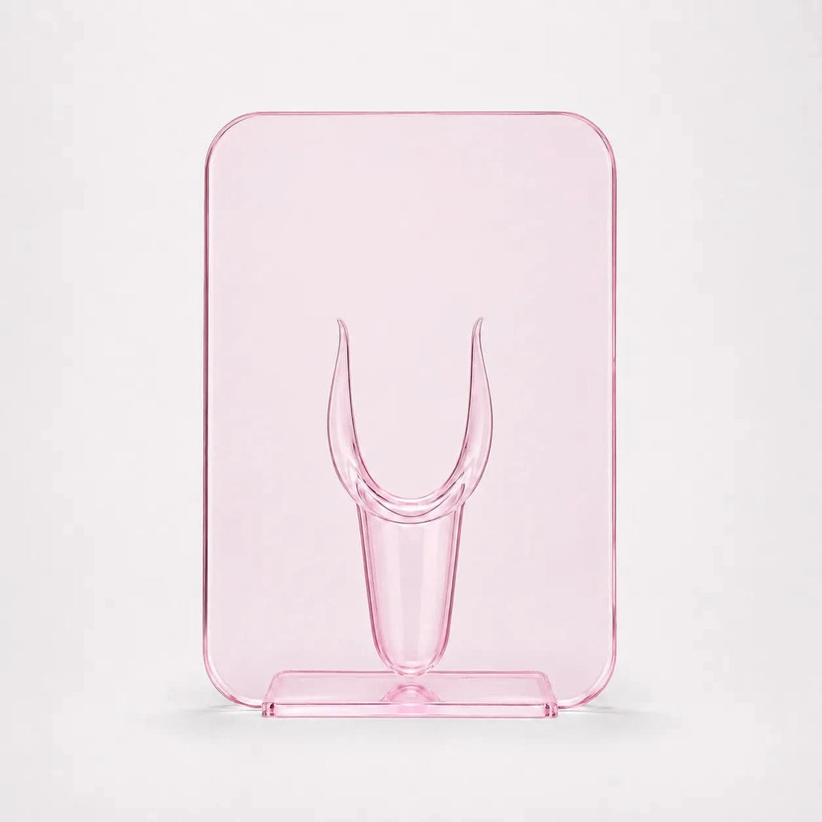 FLORACLEAR – Frame Vase for Refined Statement Flowers