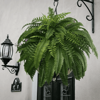 VERDAFERN – Outdoor Greenery Panels