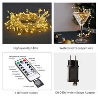 BRILAVORA – LED String Lights for Magical Decorative Lighting