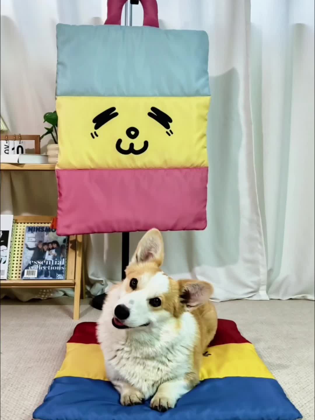PETCHILL – Wendbare Kühl-Haustiermatte