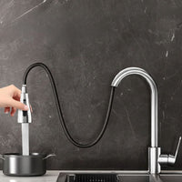 SWIVELIX – Robinet d'évier extractible avec réglages de pulvérisation flexibles