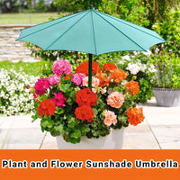 PLANTGUARD – Ombreggiatura solare per piante da esterno