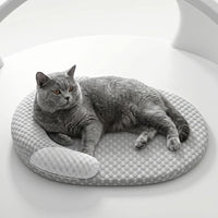 ARCTIPAW – Tapis rafraîchissant d'été lavable pour chats et chiens