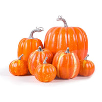 SPOOKYHARVEST – Decorative Table for Playful Fall Character Set
