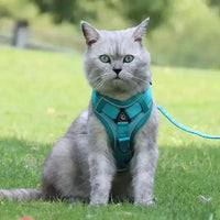 CATSECURE – Harnais pour chat en forme de Y