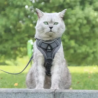 CATSECURE – Harnais pour chat en forme de Y