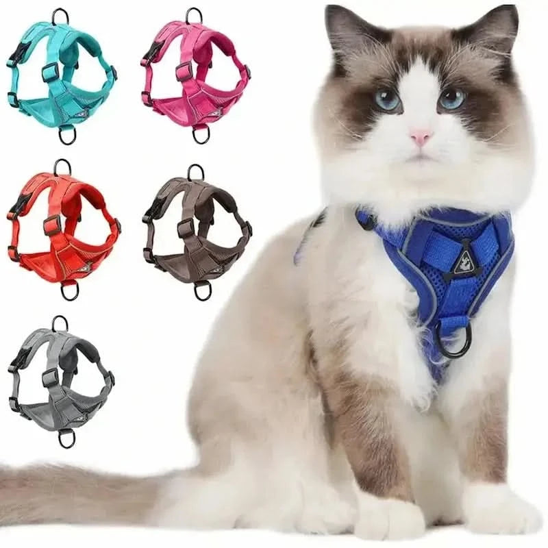 CATSECURE – Harnais pour chat en forme de Y