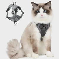 CATSECURE – Harnais pour chat en forme de Y