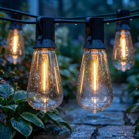 String lights in a garden after rain