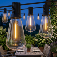 String lights on a garden terrace