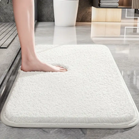 BATHZEVIX – Absorbent Floor Mat for a Neat Bathroom Space